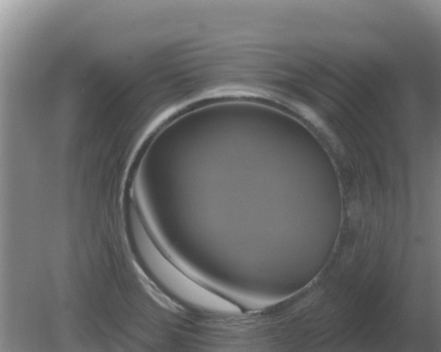 X0000081361372200701182102