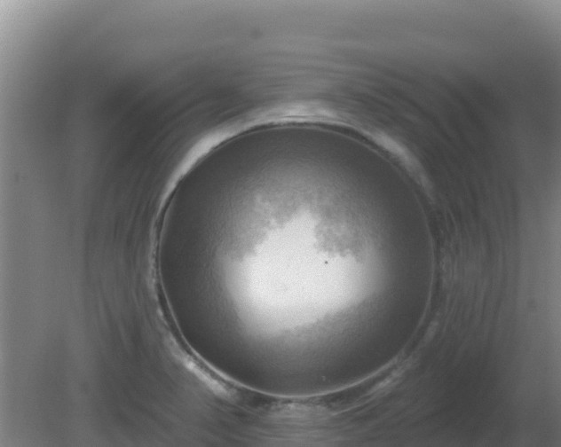 X0000081361374200701182101