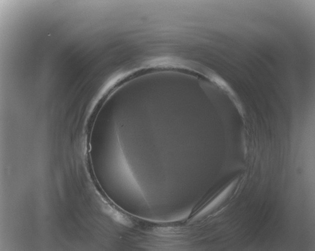 X0000081361376200701182101