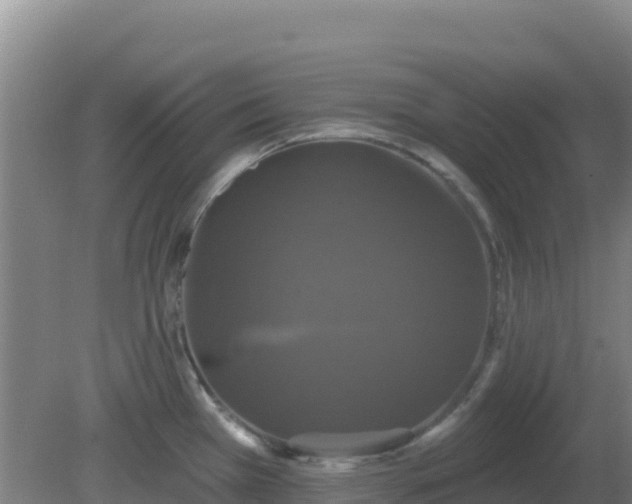 X0000081361385200701182101