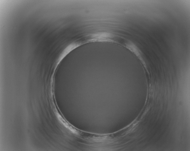 X0000081361386200701182101