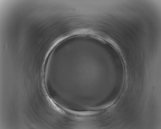 X0000081361392200701182101