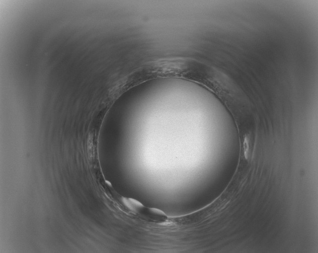 X0000081361395200701182100
