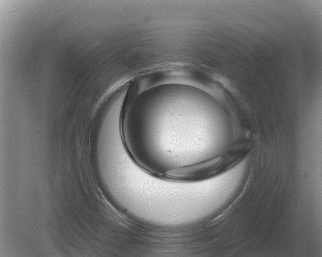 X0000081361402200701182101