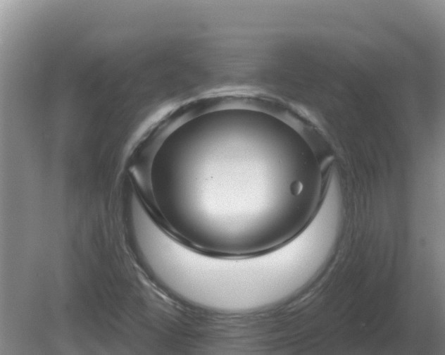 X0000081361406200701182101