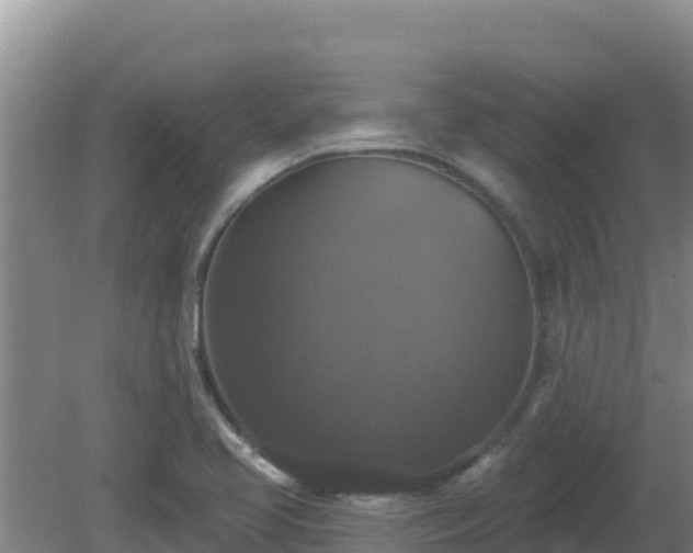 X0000081361413200701182101