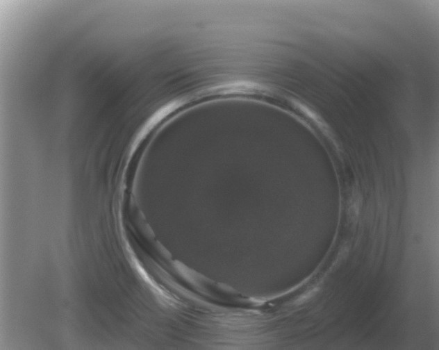 X0000081361418200701182101