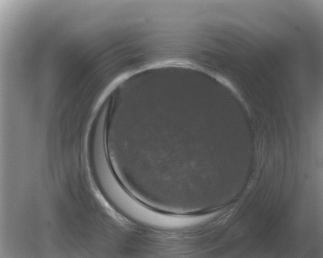 X0000081361422200701182101