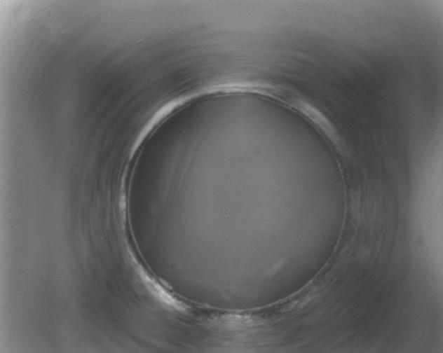 X0000081361428200701182101