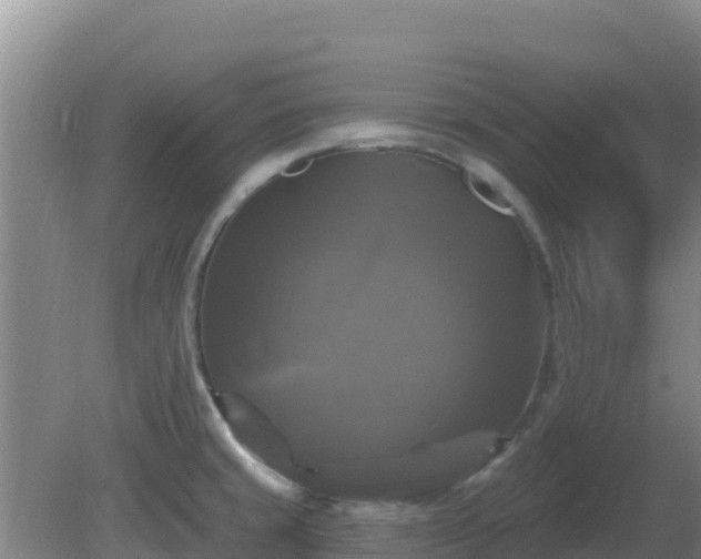 X0000081361429200701182101