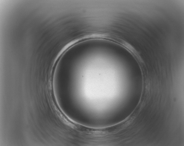 X0000081361436200701182101