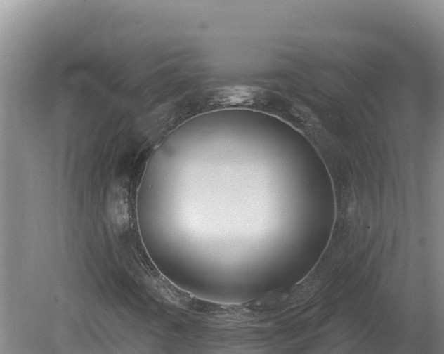 X0000081361442200701182100