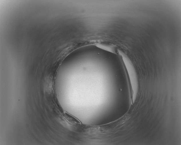X0000081361444200701182100