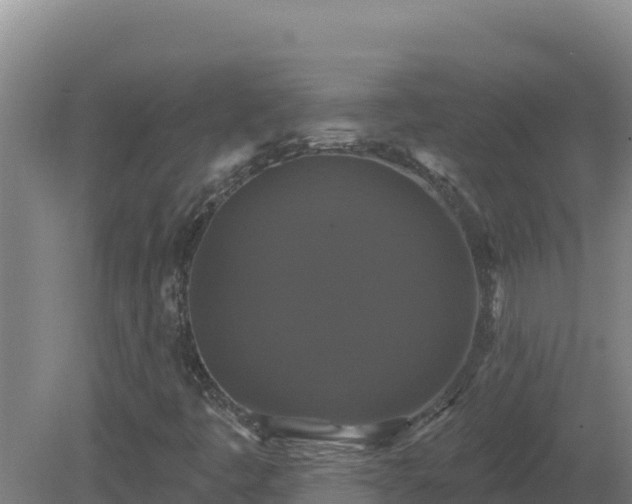 X0000081361445200701182100