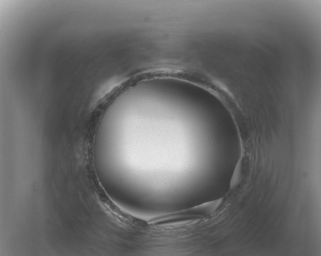 X0000081361448200701182100