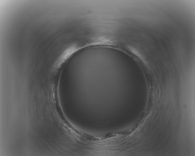 X0000081361455200701182100