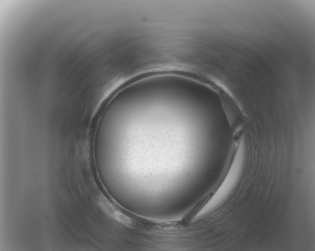 X0000081361460200701182100