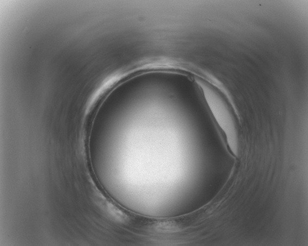 X0000081361464200701182100