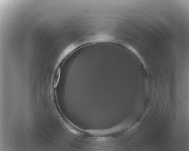 X0000081361469200701182100