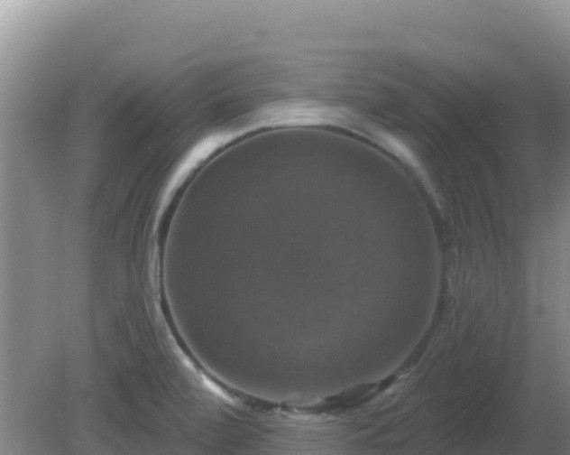 X0000081361472200701182100