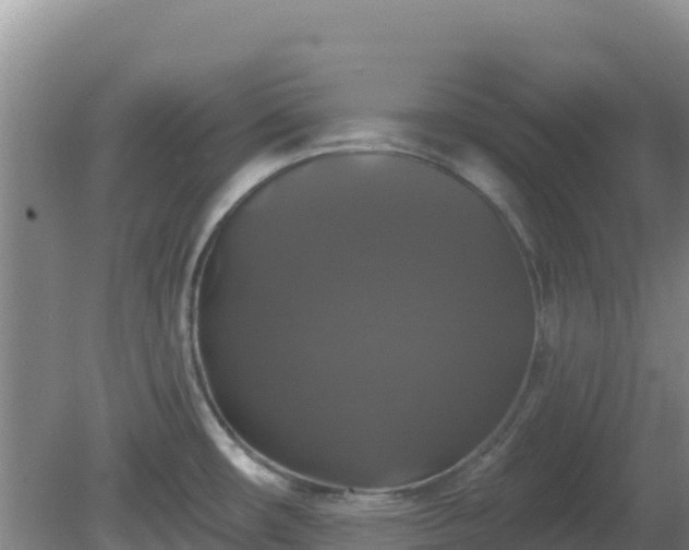 X0000081361482200701182100