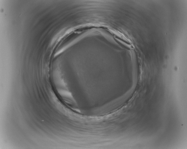 X0000081360002200701252001