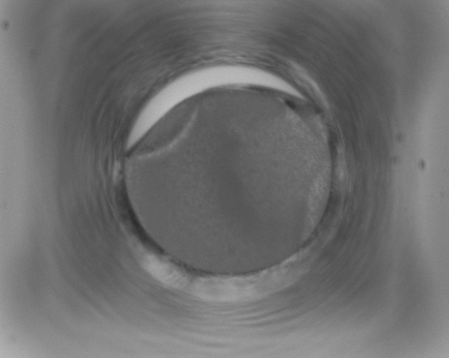X0000081360025200701252000
