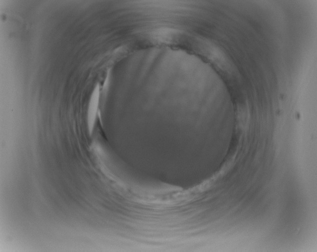 X0000081360029200701252000