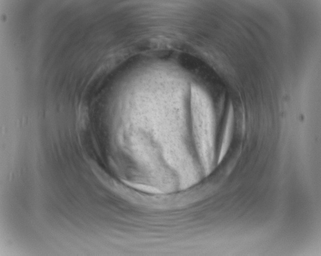 X0000081360038200701252000