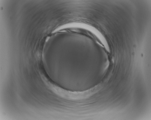 X0000081360039200701252000