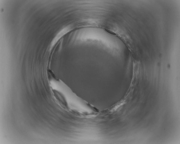 X0000081360051200701251959