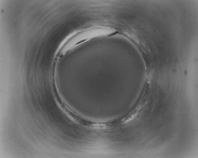 X0000081360052200701251959