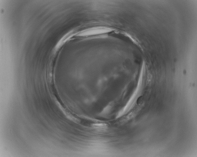 X0000081360053200701251959