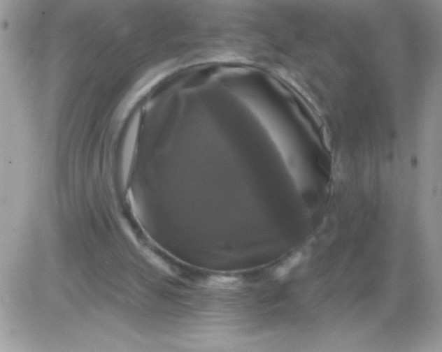 X0000081360055200701251959