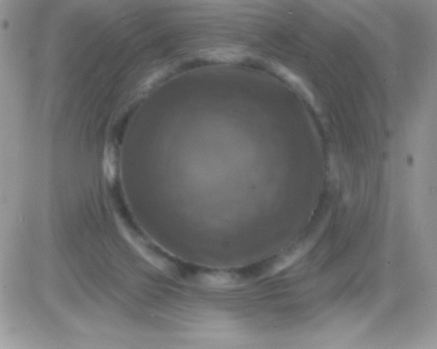 X0000081360069200701251959