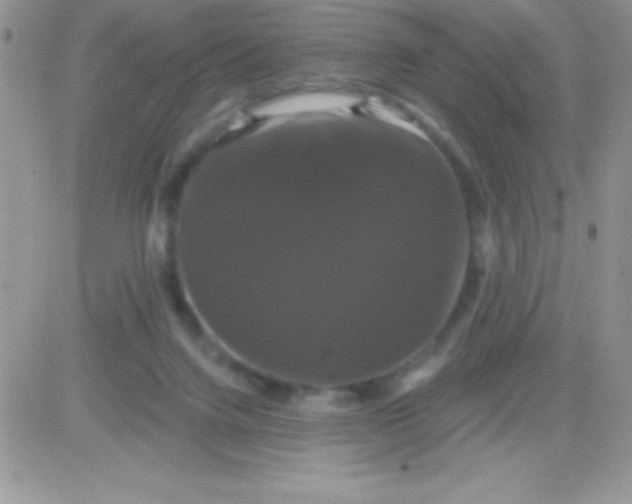 X0000081360072200701251959