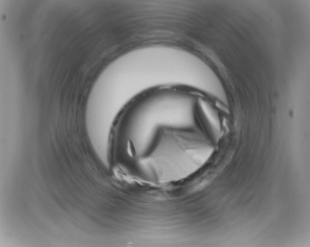 X0000081360073200701251959