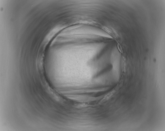X0000081360098200701251959