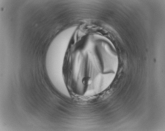 X0000081360123200701251959