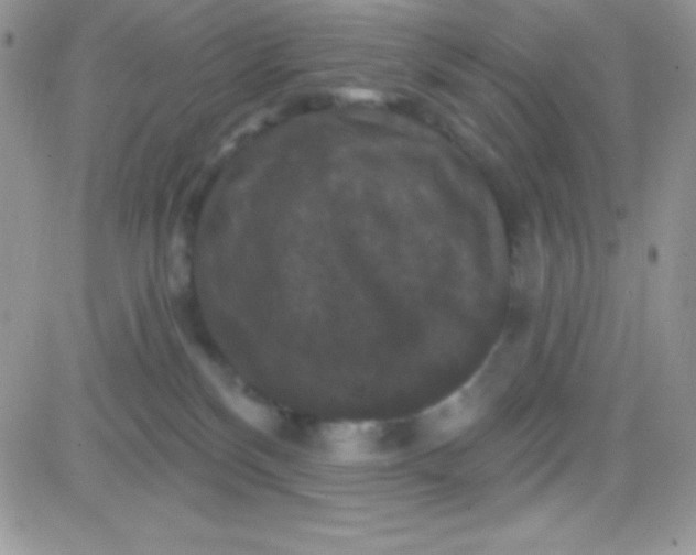 X0000081360136200701251958