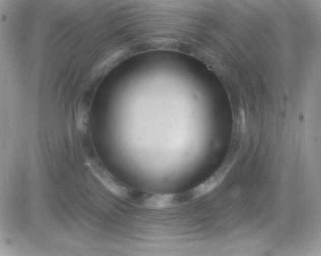 X0000081360138200701251958