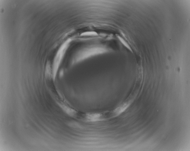 X0000081360143200701251958