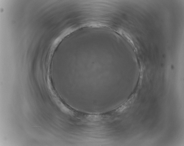 X0000081360145200701251957