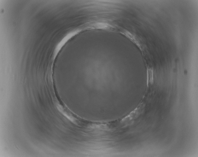 X0000081360147200701251957