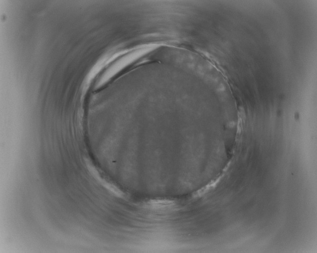 X0000081360150200701251957