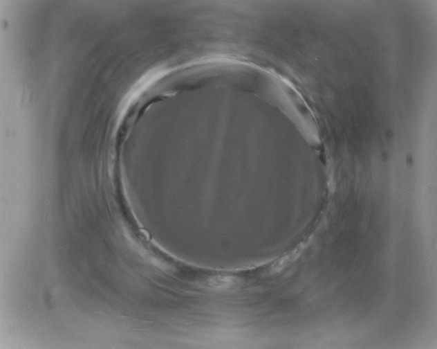 X0000081360152200701251957