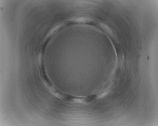 X0000081360167200701251958