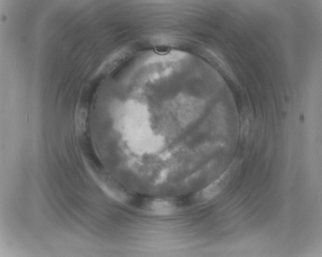 X0000081360171200701251958