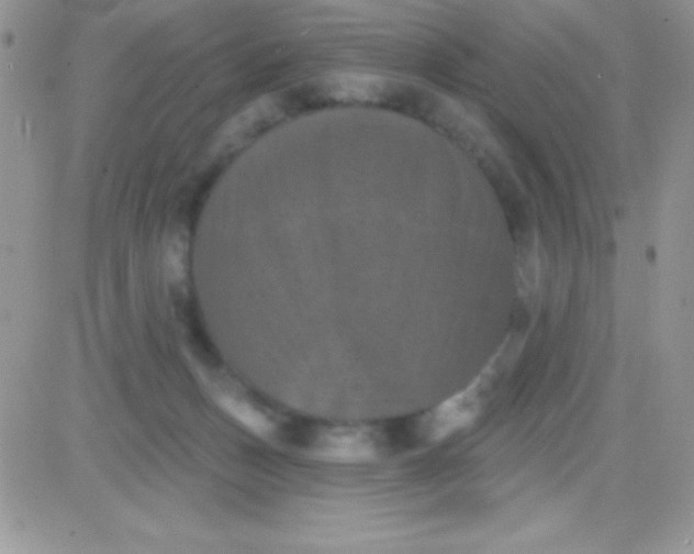 X0000081360175200701251958