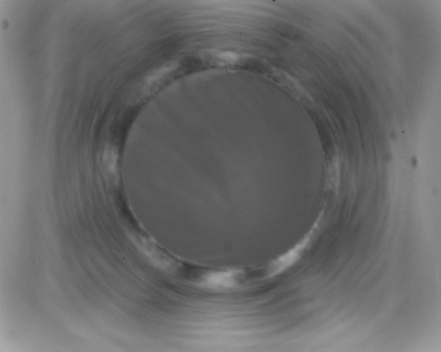 X0000081360178200701251958